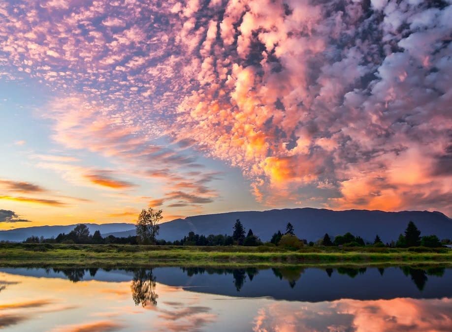 Novena on the Care of Creation